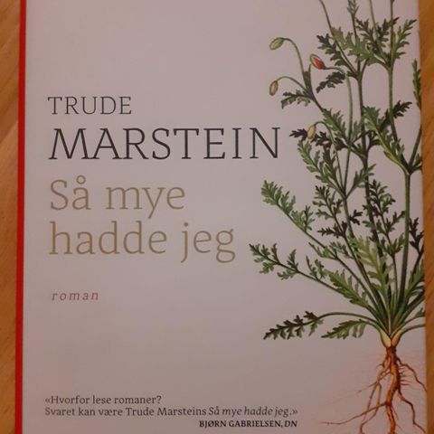 SÅ MYE HADDE JEG - Trude Marstein.