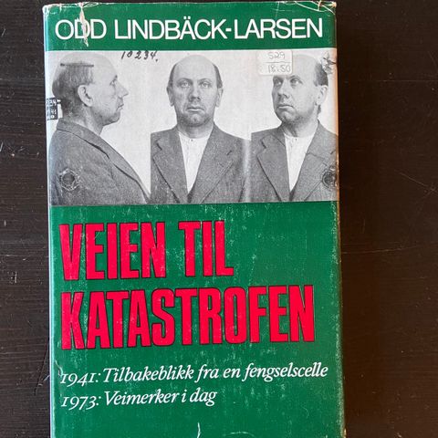 Odd Lindback-Larsen - Veien til Katastrofen