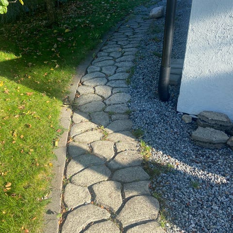 Annonsebilde