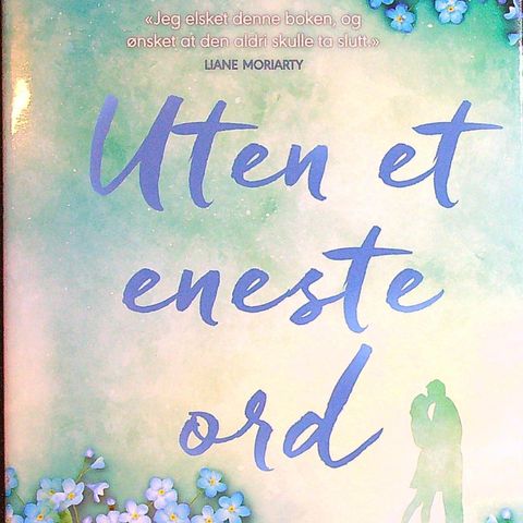 Rosie Walsh – Uten et eneste ord