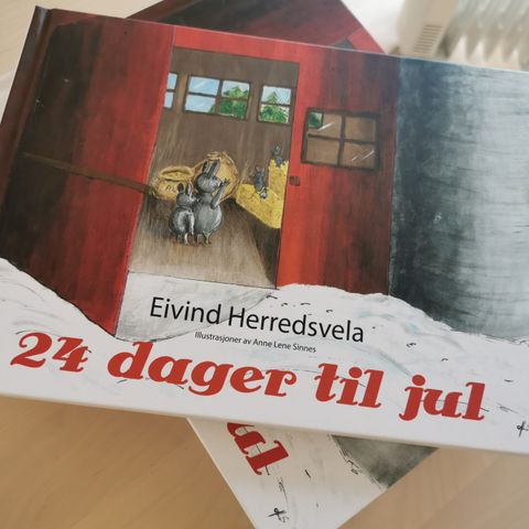 24 dager til jul bok