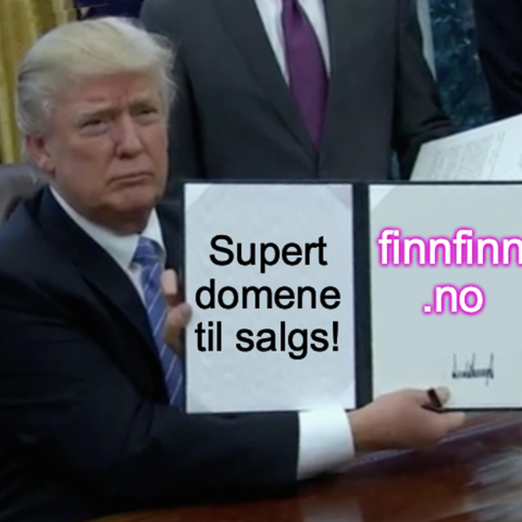 FINNFINN.no - domene til salgs!