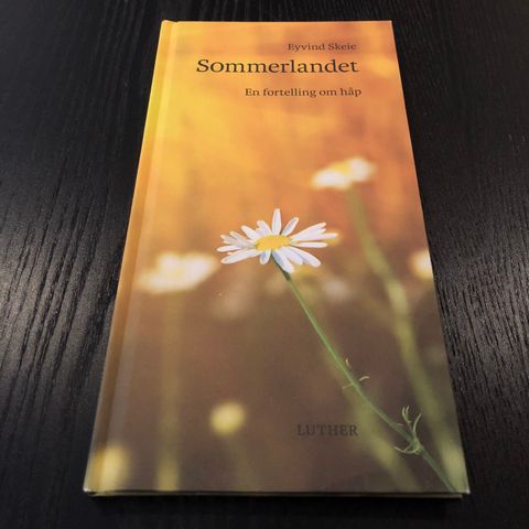 BOK: «Sommerlandet» av Eyvind Skeie