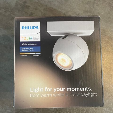 Phillips Hue Extension Spot White