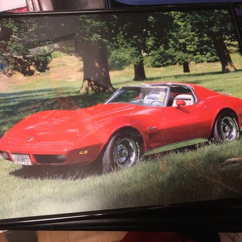 Corvette-bilder+Bruce Springsteen i glass og ramme,