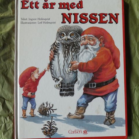 Ett år med nissen