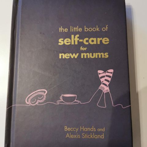 The little book of self care for New mums