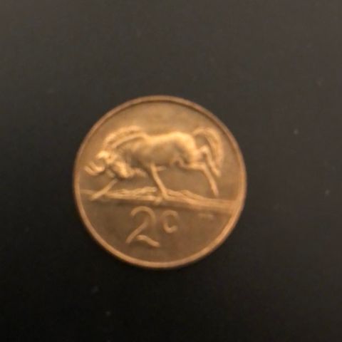 Sør-Afrika 2 cent 1988. Pen  (1855. O)