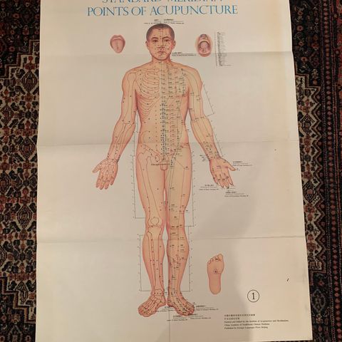 2 store plakater- kinesisk akupunktur anteriør og pasteriør