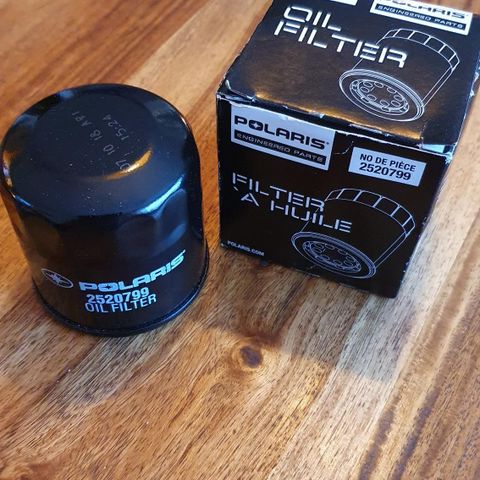 Polaris Oil Filter