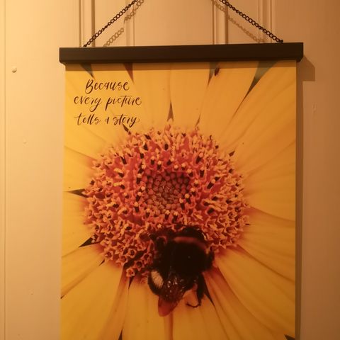 2 stk plakater 30*40 cm, motiv solsikke med insekt