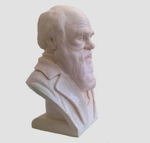 Charles Darwin skulptur