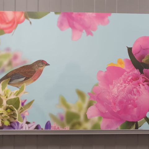 Bilde (fugl + blomst) til salgs på Løren, Oslo