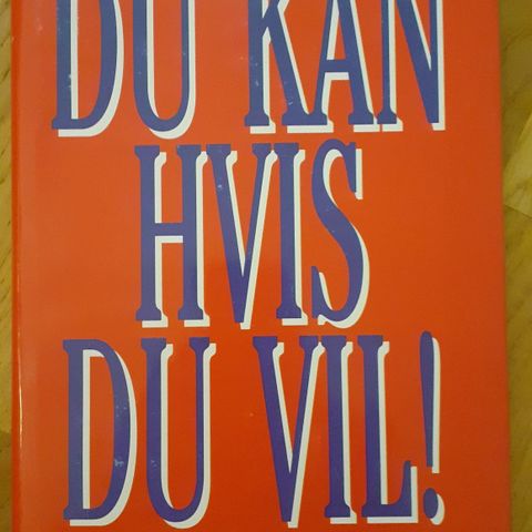 DU KAN HVIS DU VIL! - Bjørn Ringom