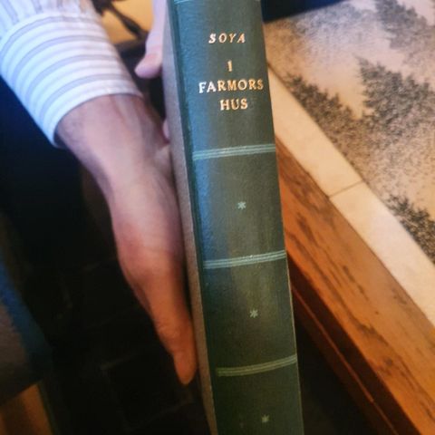 Boken "I farmors hus"