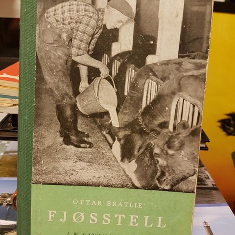 FJØSSTELL