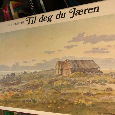 Alf Næshein. Til deg du Jæren til salgs.