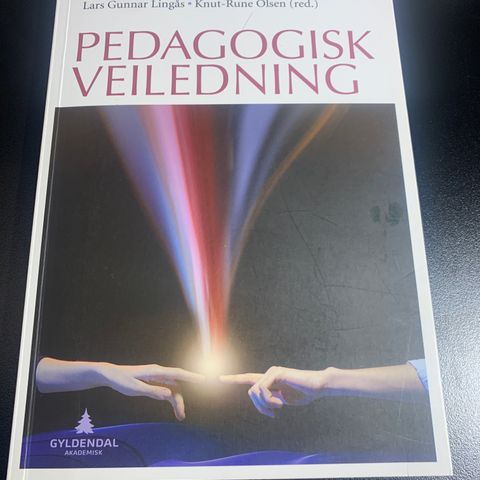 Pedagogisk veiledning