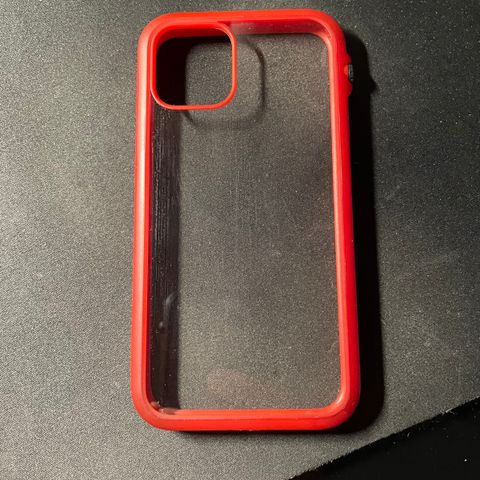 iPhone 11 Pro case «Catalyst»