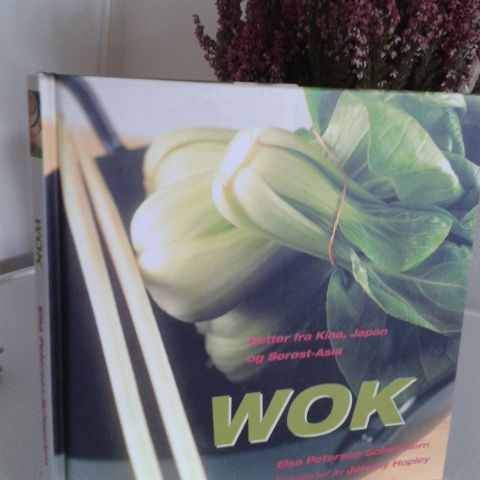 Kokebok WOK (Retter fra kina,japan og sørøst,Asia