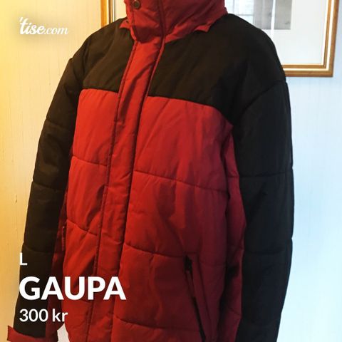 Ny Gaupa, str L