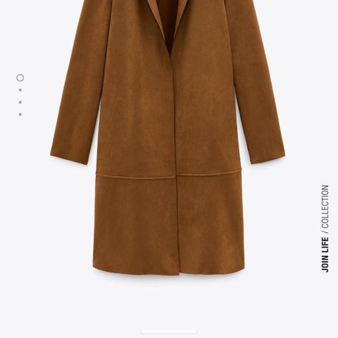 Long coat from Zara ( large)