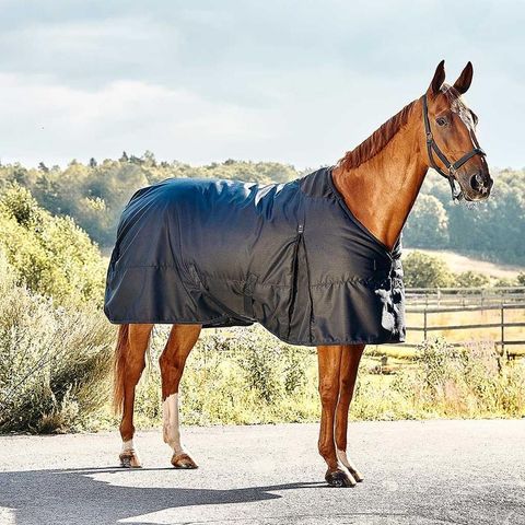 Kingsland turnout rug str 145