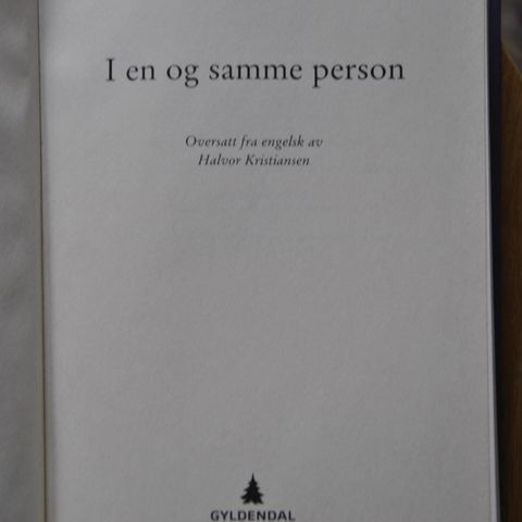 John Irving: I en og samme person.  Innb.