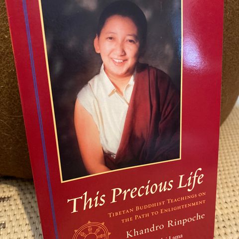 This Precious Life. Tibetan Buddhist Teachings on the path to Enlightenment