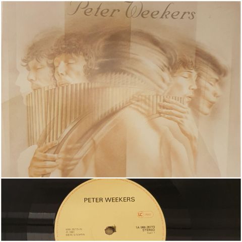 VINTAGE/RETRO LP-VINYL "PETER WEEKERS/FATA MORGANA 1981 LP EBAY"