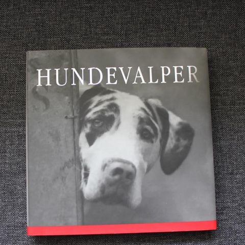 Hundevalper