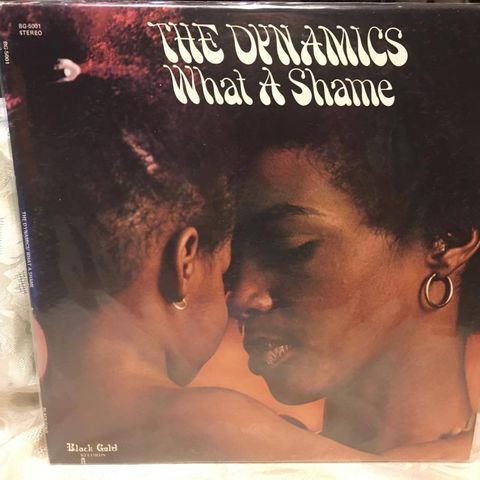 THE DYNAMICS: WHAT A SHAME, LP, KR 300
