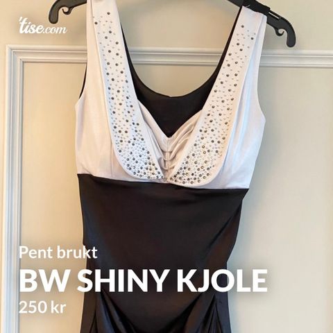 BW Shiny Kjole