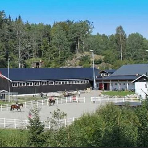 Ledig stallplass på Damgården i Larvik.