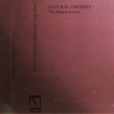 Natural Assembly «The Fantasy Of Love» kassett Hospital Productions synth wave