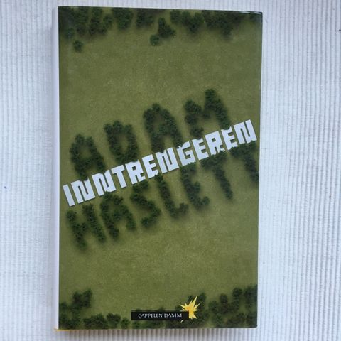 BokFrank: Adam Haslett; Inntrengeren (2010)