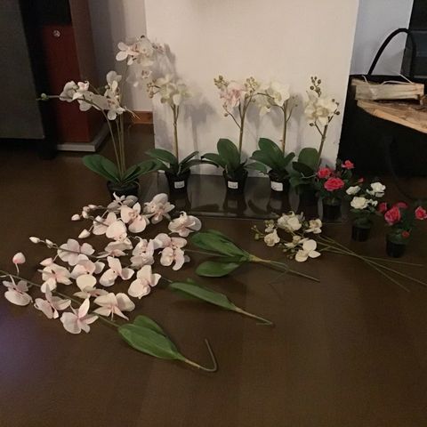 Lite brukte naturlige kunstige orkidèer selges for 400kr.