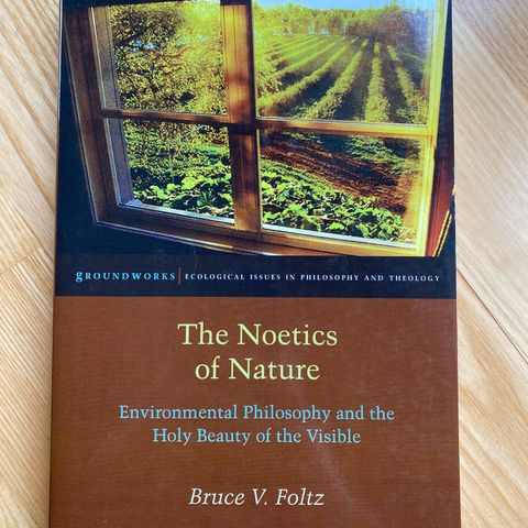 The Noetics of Nature
