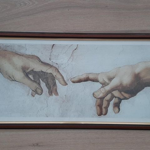 Bilde Michelangelo - The hand of God and Adam