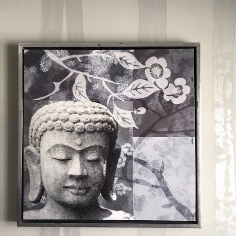 Buddha-bilde 53,5cm x 53,5cm