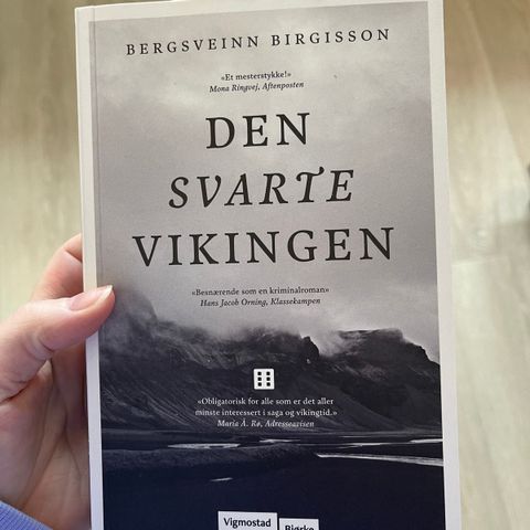 Den svarte vikingen