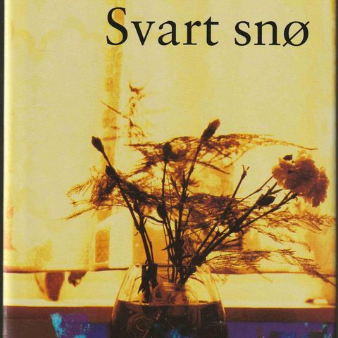 Alice Hoffman - Svart snø