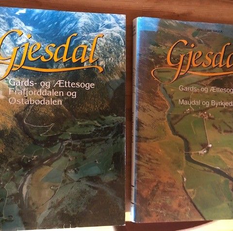 Lokalhistorie-Gjesdal. Gards- og ættesoge for indre Gjesdal l og ll