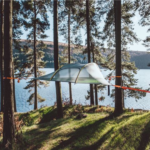 Tentsile Stingray 3 - Tretopptelt leies ut