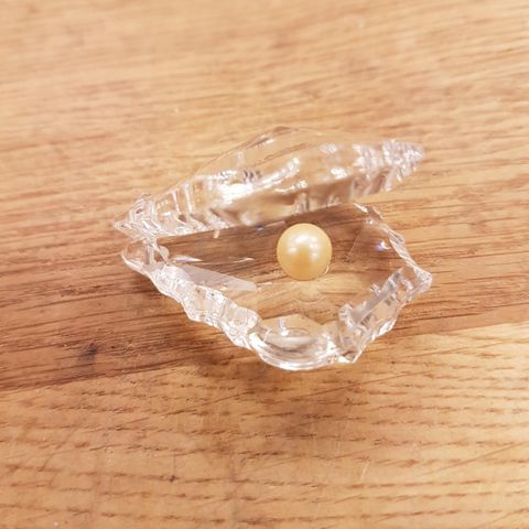 Krystall skjell med perle