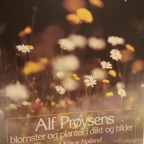 Annonsebilde