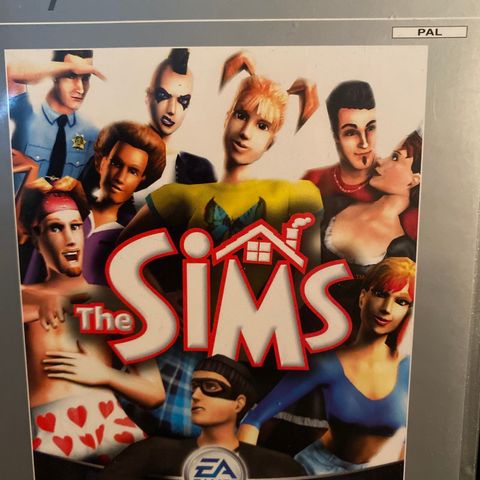 playstation 2. The sims