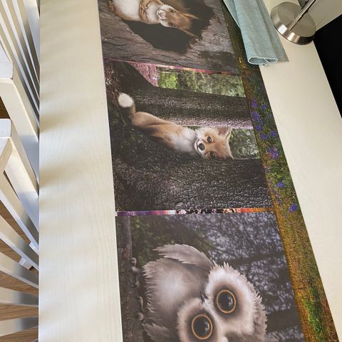 Plakater fra Cecilie Sørgård animals limited edition