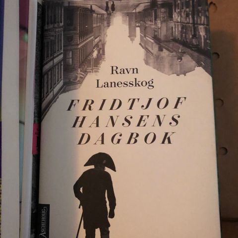 Ravn Lanesskok Fridtjof Nansens dagbok til salgs.