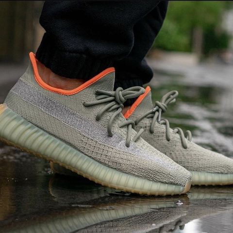 Yeezy Desert Sage 40